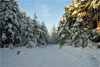 解密冒险游戏《木偶公馆》5月发售 支持简中